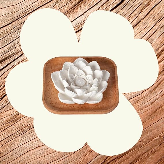 Plant Therapy Passive Lotus Flower Aromatherapy Diffuser - A Chic and Natural Home, Office, and Travel Essential Oil Diffuser - Image 3