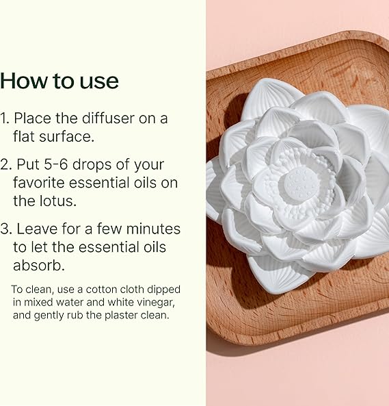Plant Therapy Passive Lotus Flower Aromatherapy Diffuser - A Chic and Natural Home, Office, and Travel Essential Oil Diffuser - Image 2